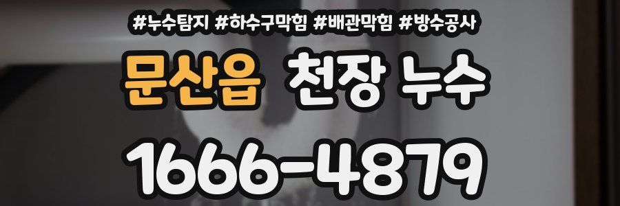 문산읍 천장 누수
