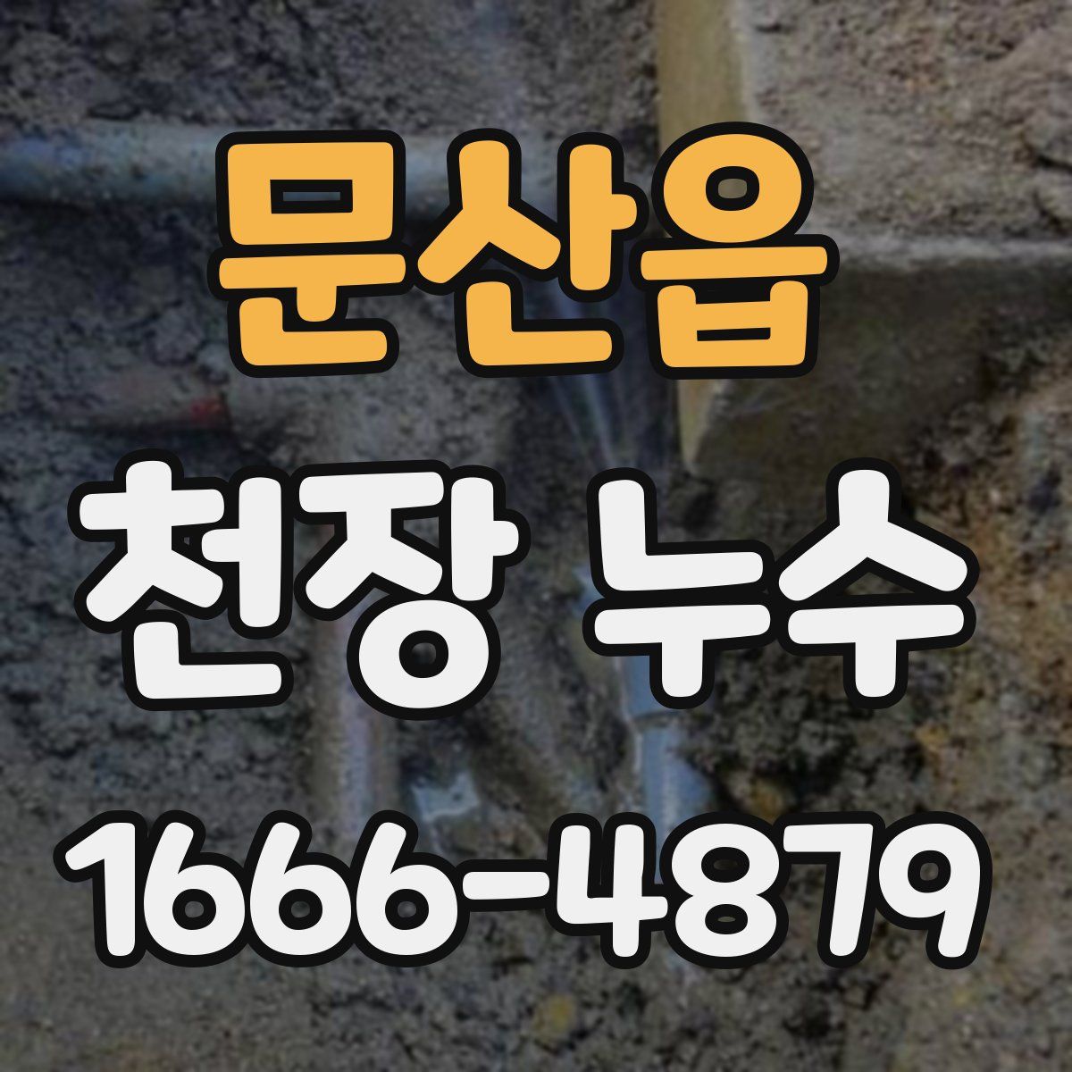문산읍 천장 누수