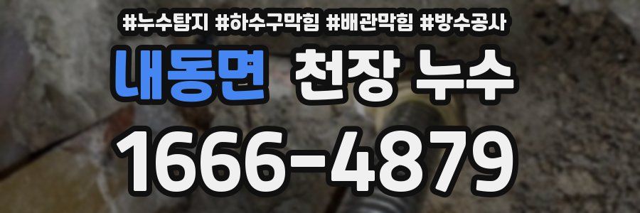 내동면 천장 누수