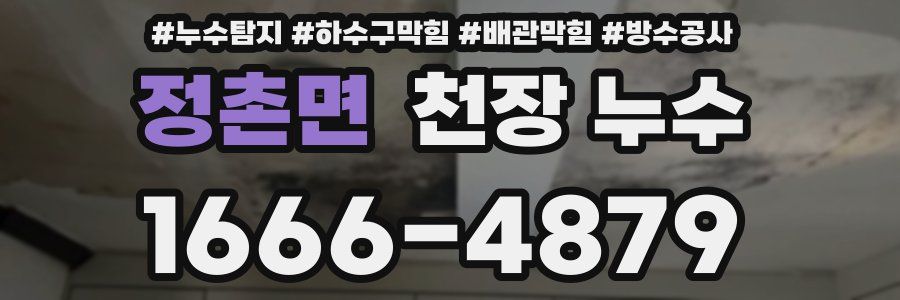 정촌면 천장 누수