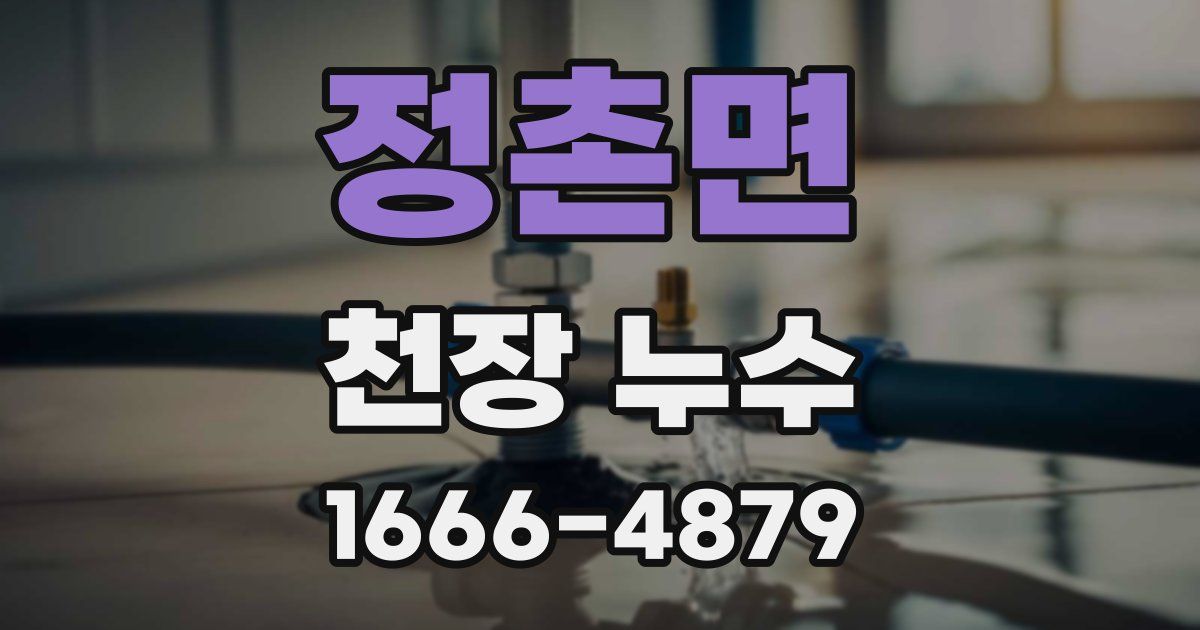 정촌면 천장 누수