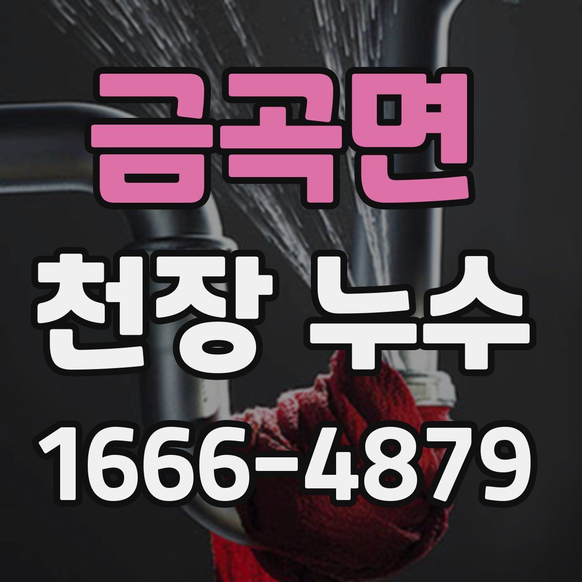 금곡면 천장 누수