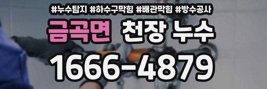 금곡면 천장 누수
