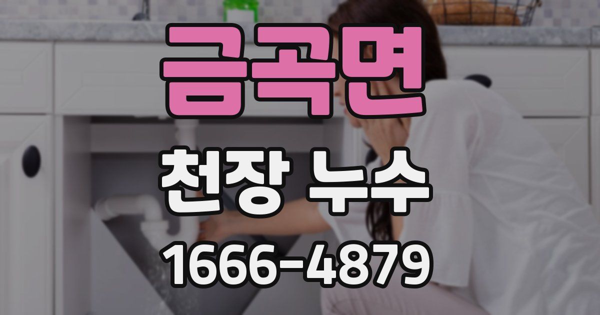 금곡면 천장 누수