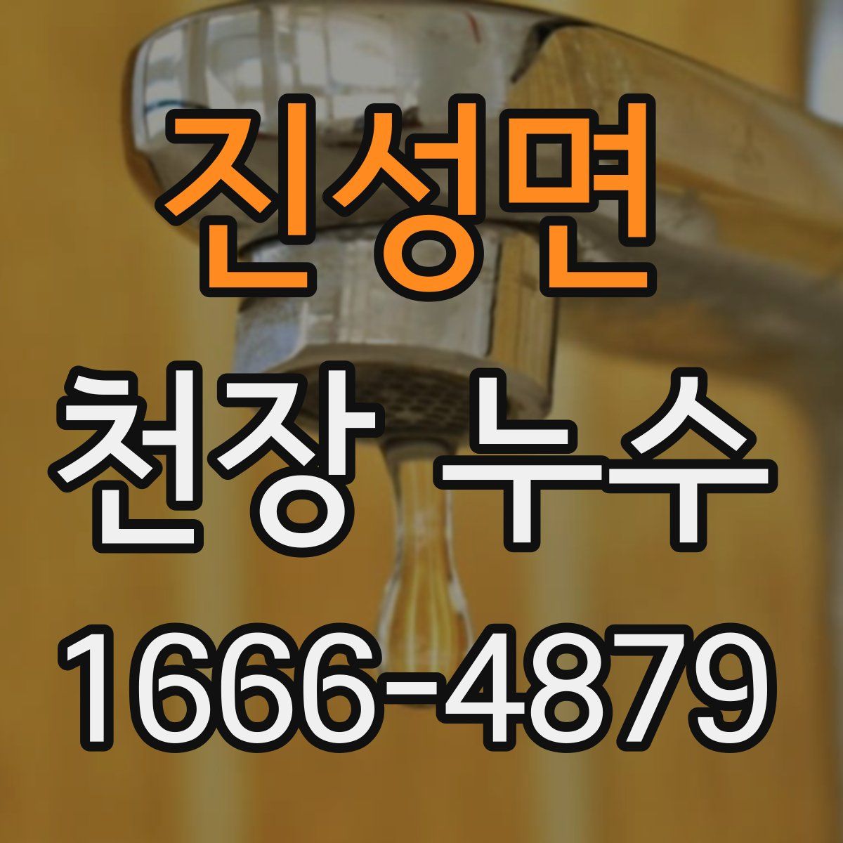 진성면 천장 누수