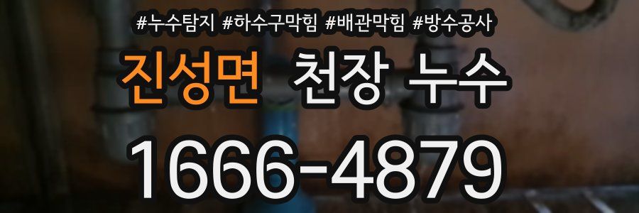 진성면 천장 누수