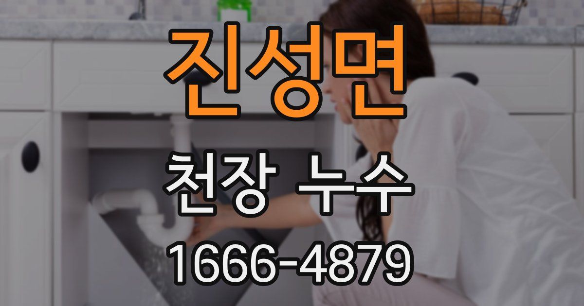 진성면 천장 누수