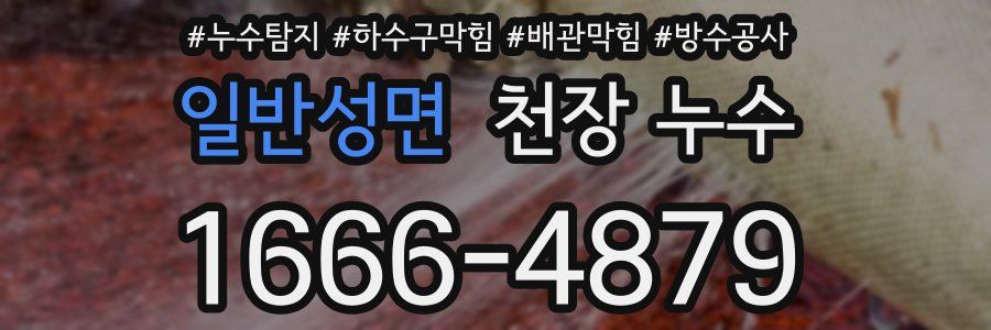 일반성면 천장 누수