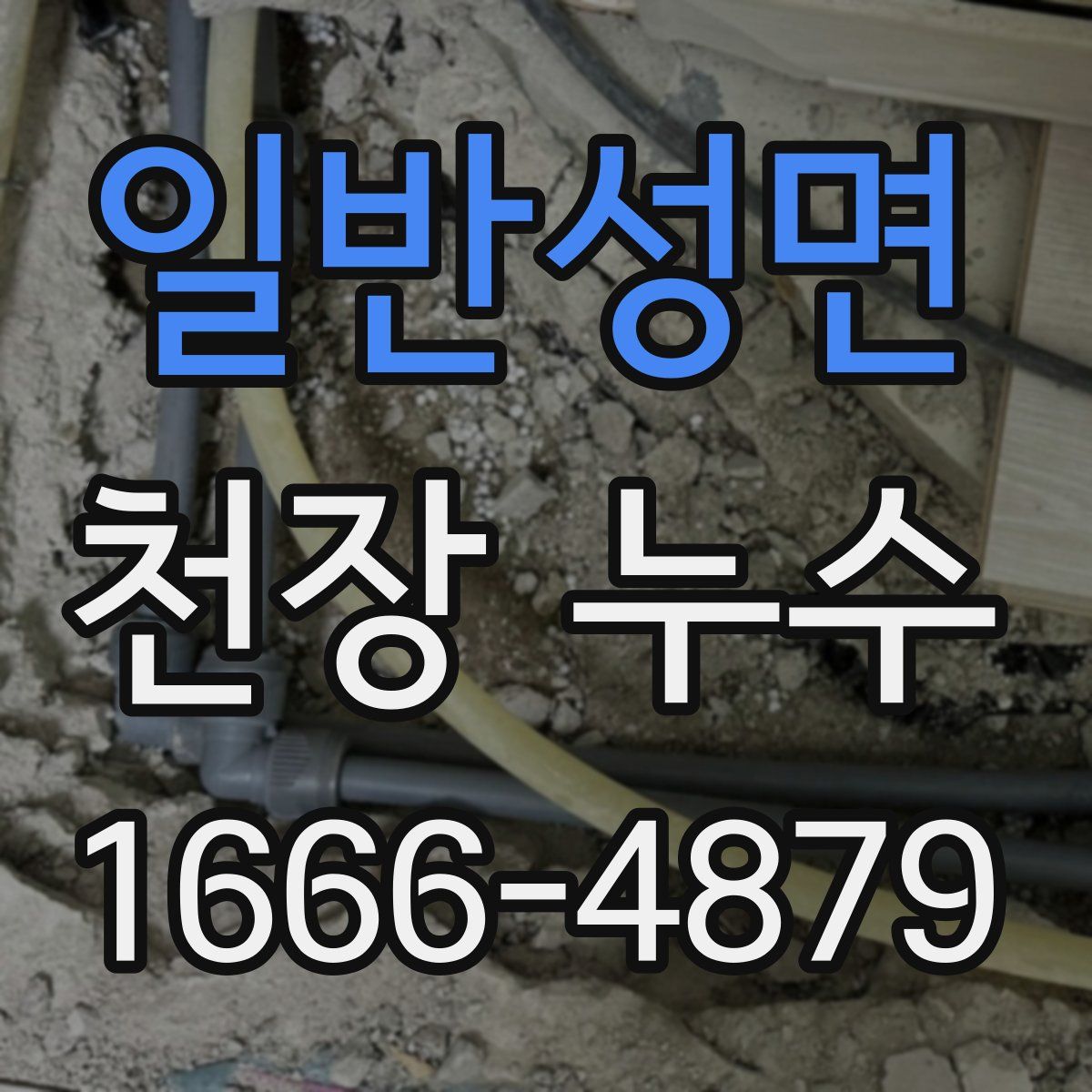 일반성면 천장 누수