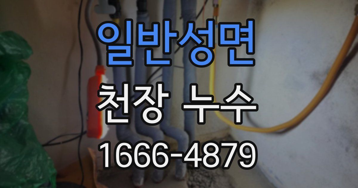 일반성면 천장 누수