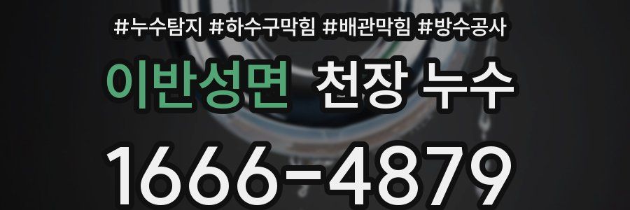 이반성면 천장 누수