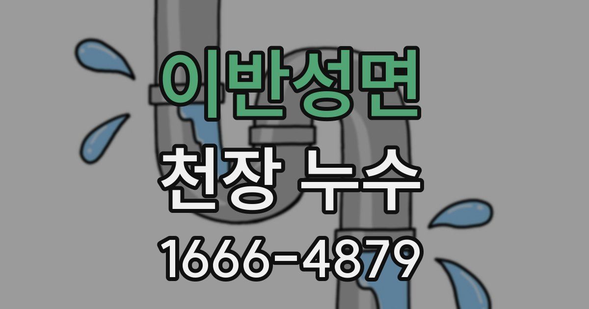 이반성면 천장 누수