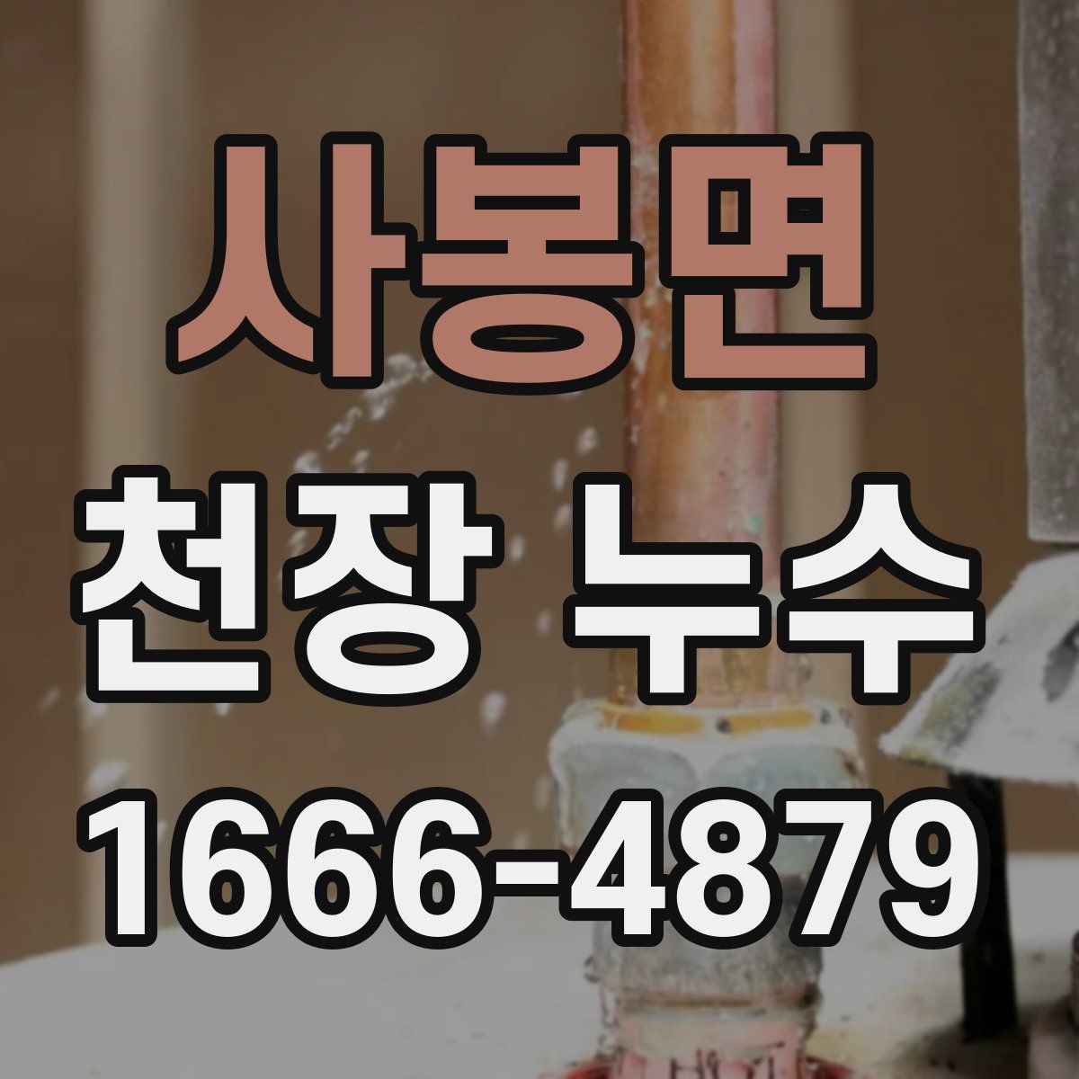 사봉면 천장 누수