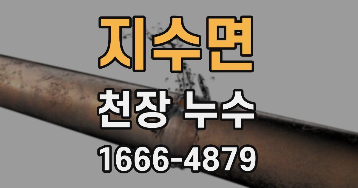 지수면 천장 누수