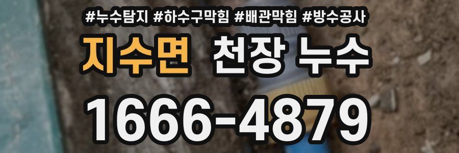 지수면 천장 누수