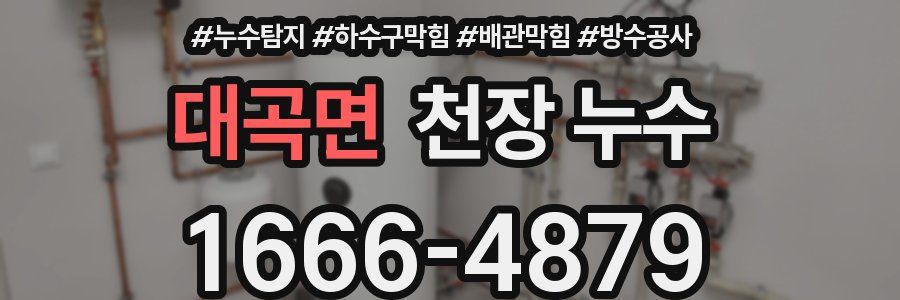 대곡면 천장 누수