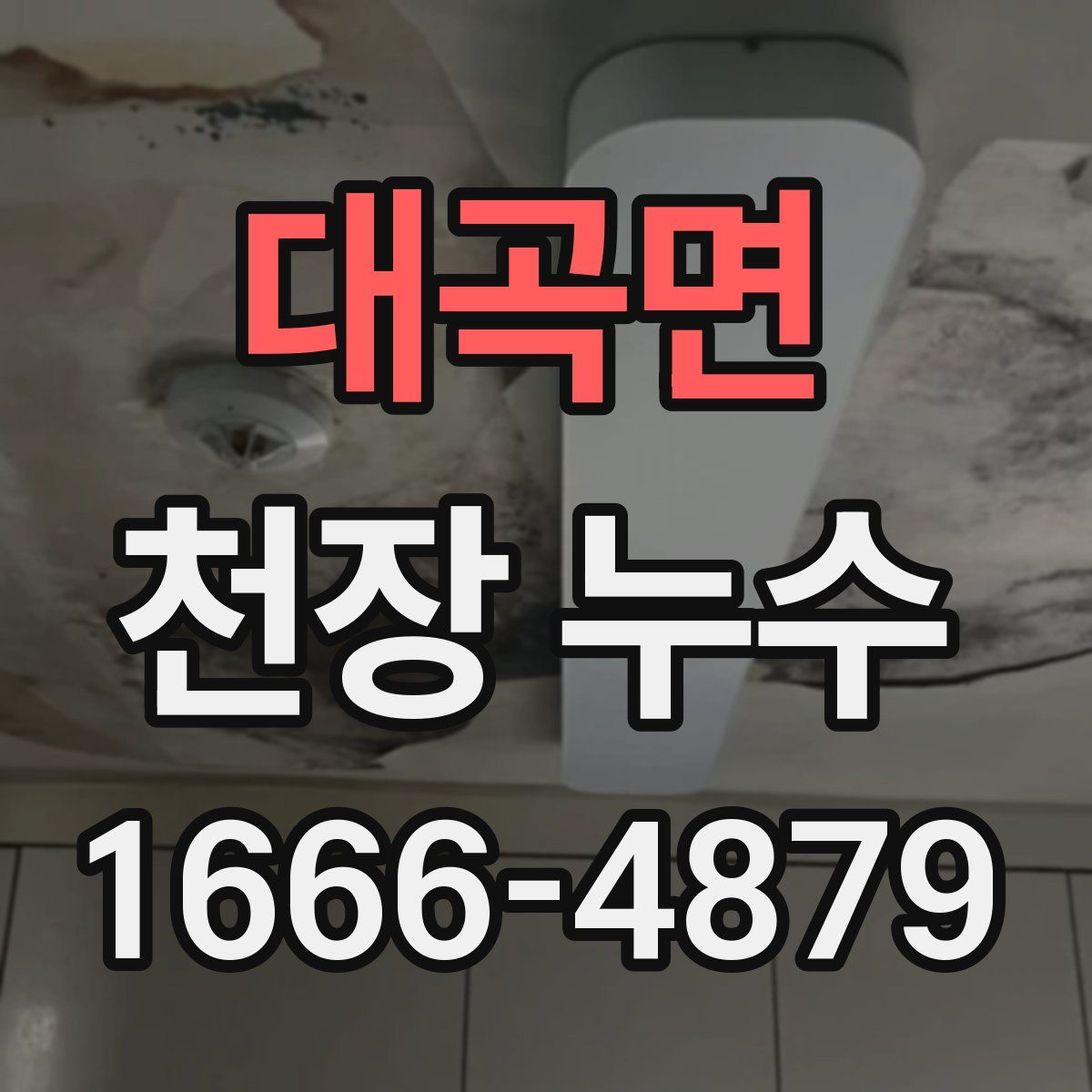 대곡면 천장 누수