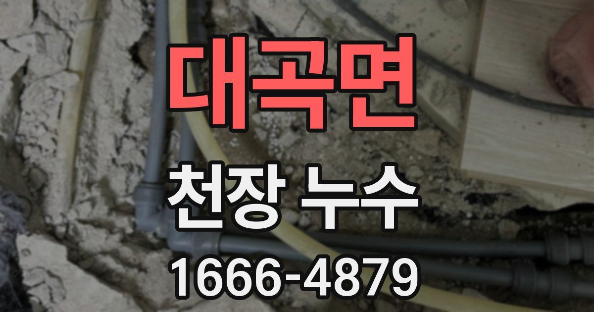 대곡면 천장 누수