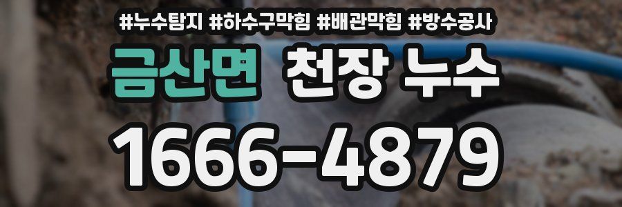 금산면 천장 누수