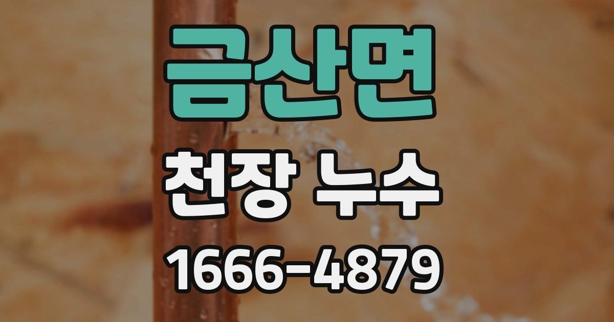 금산면 천장 누수