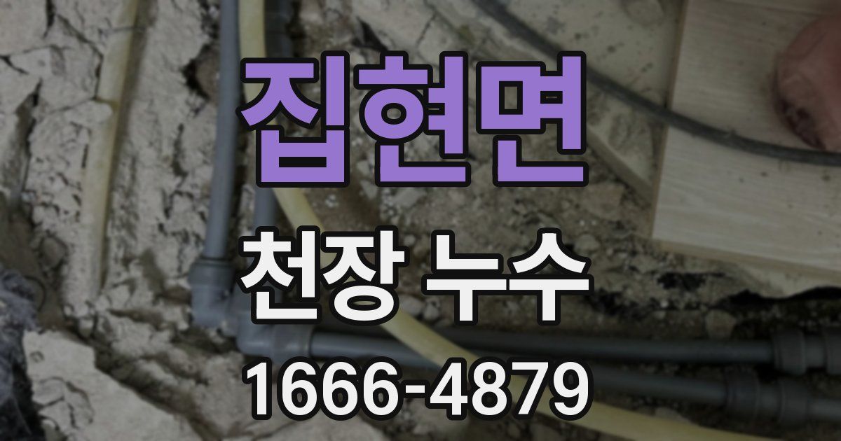 집현면 천장 누수