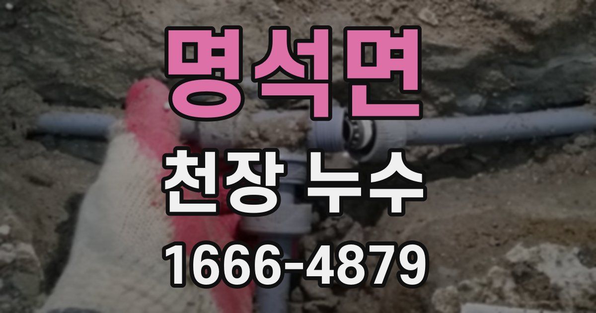 명석면 천장 누수