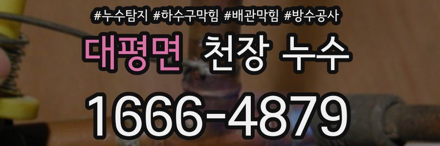 대평면 천장 누수