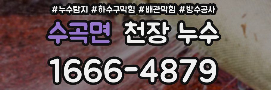 수곡면 천장 누수