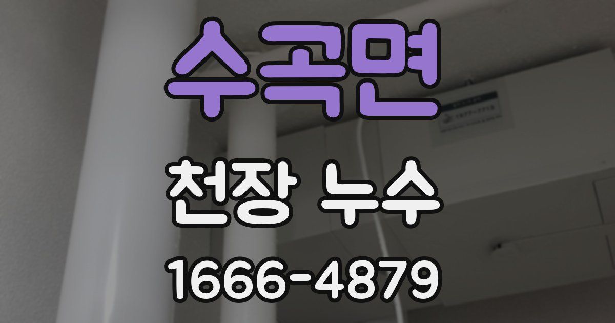 수곡면 천장 누수