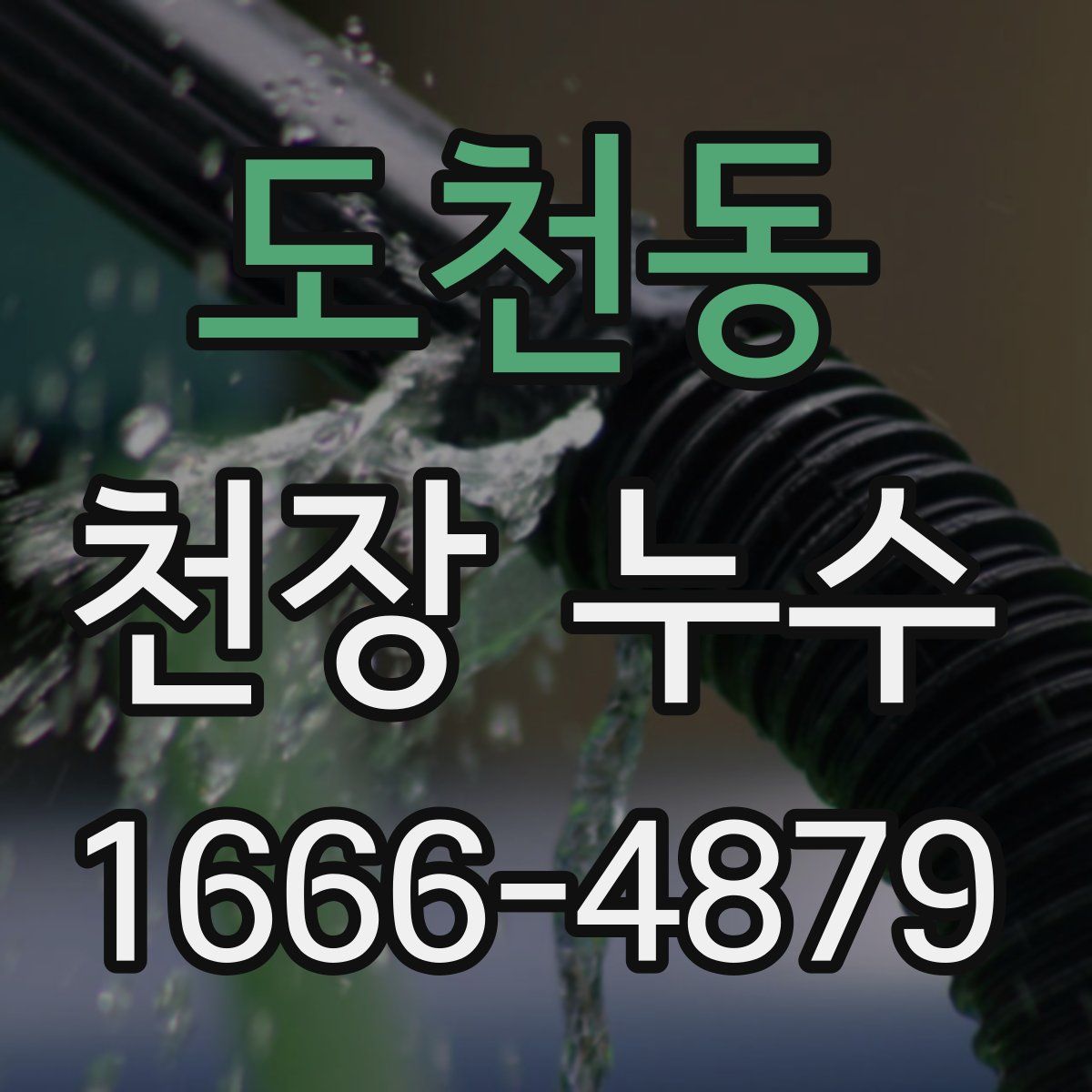 도천동 천장 누수
