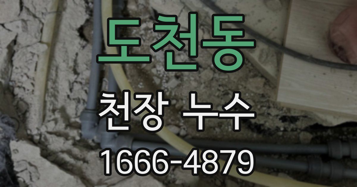 도천동 천장 누수