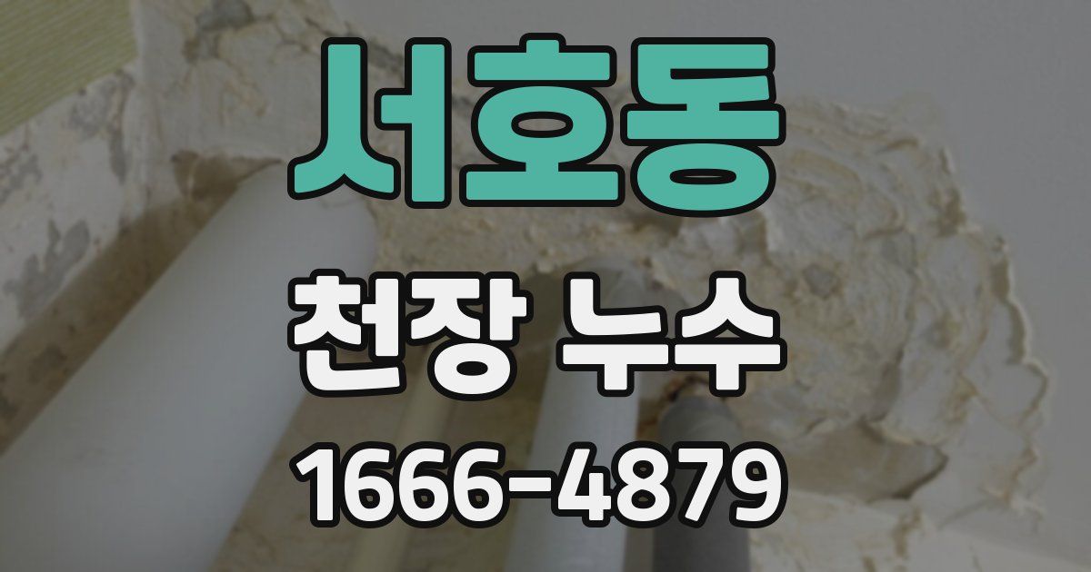 서호동 천장 누수