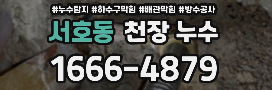 서호동 천장 누수