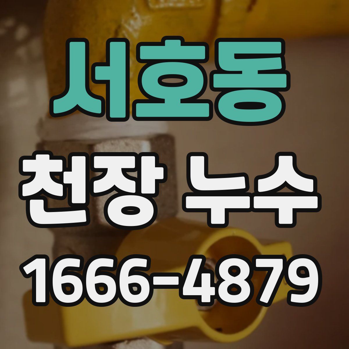 서호동 천장 누수