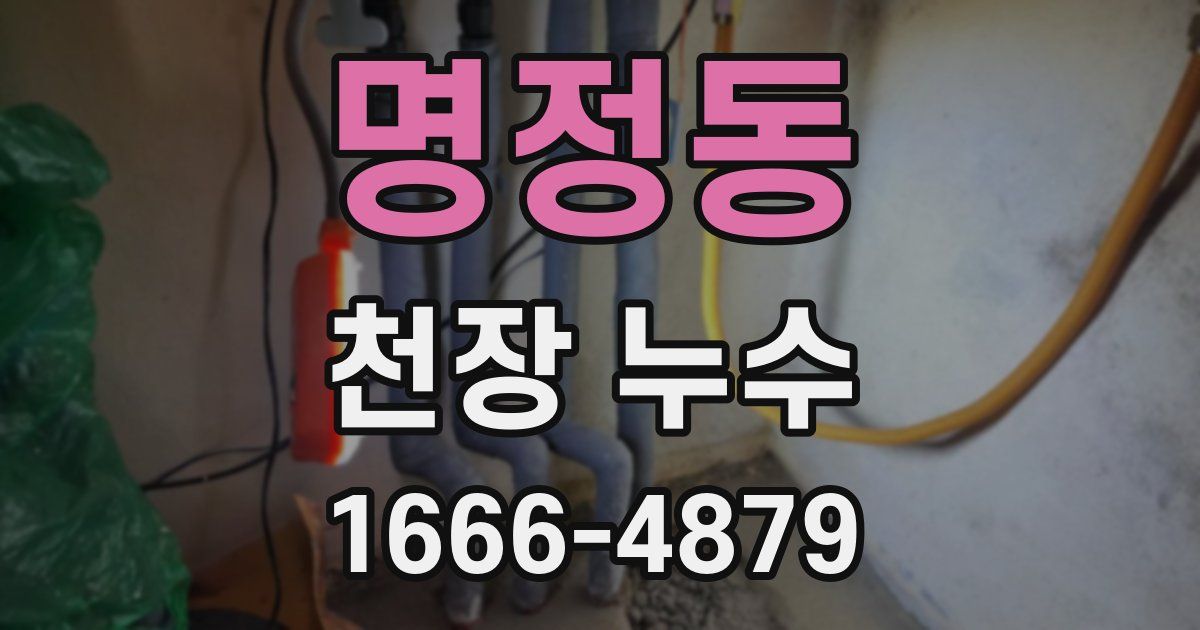 명정동 천장 누수
