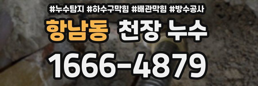 항남동 천장 누수