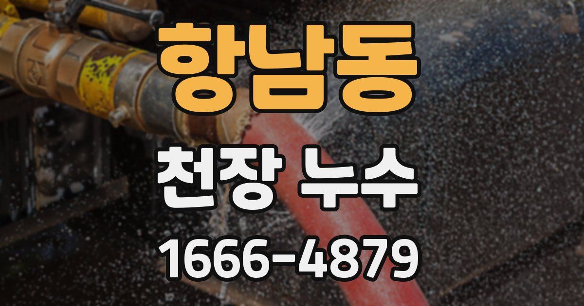 항남동 천장 누수