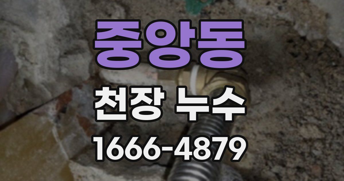 중앙동 천장 누수