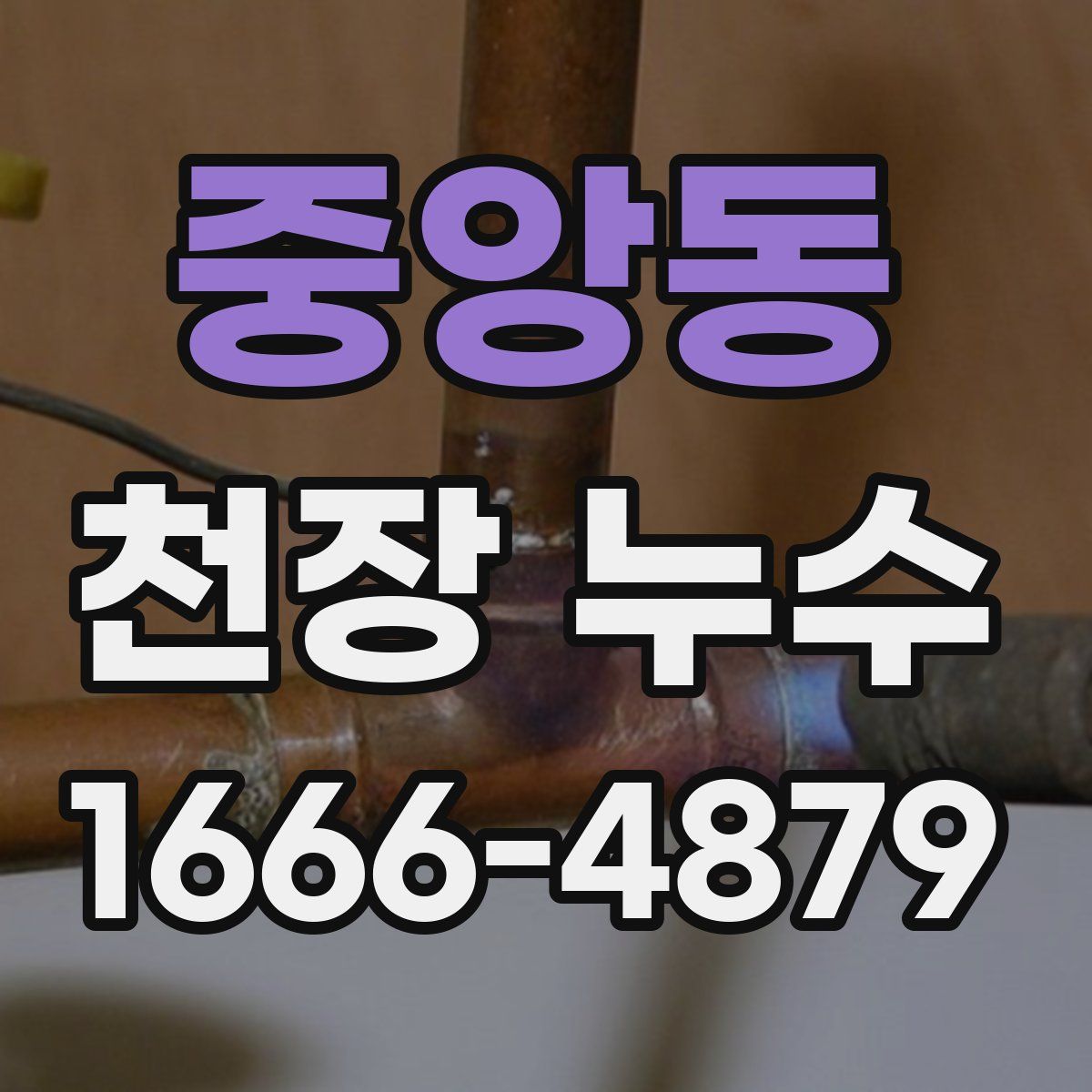 중앙동 천장 누수