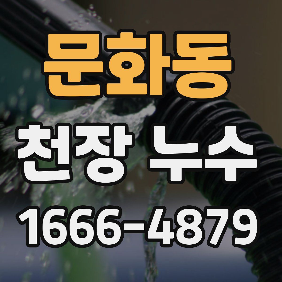 문화동 천장 누수