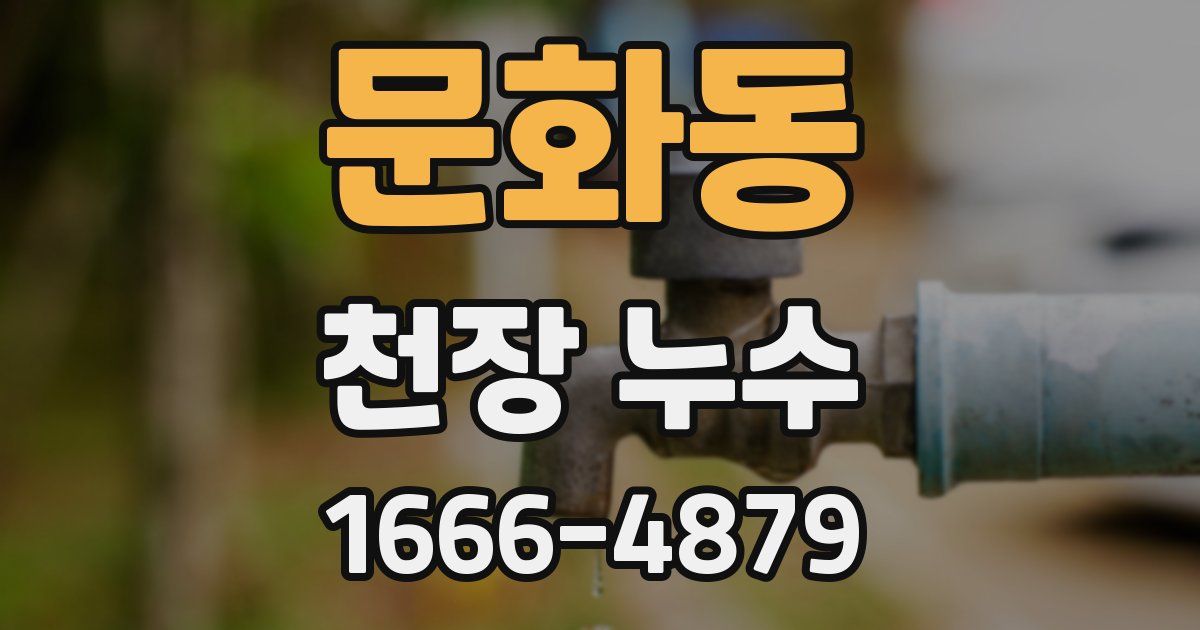 문화동 천장 누수