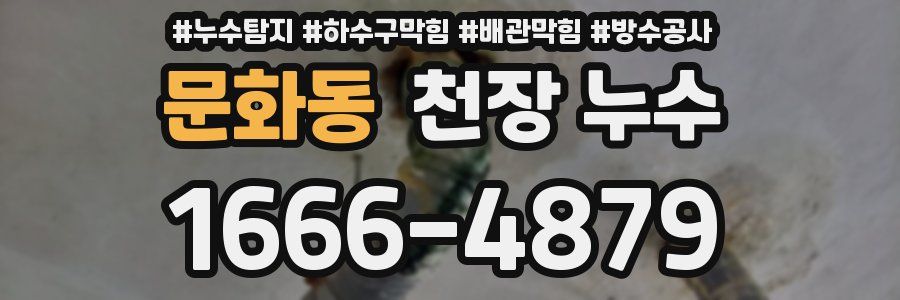 문화동 천장 누수