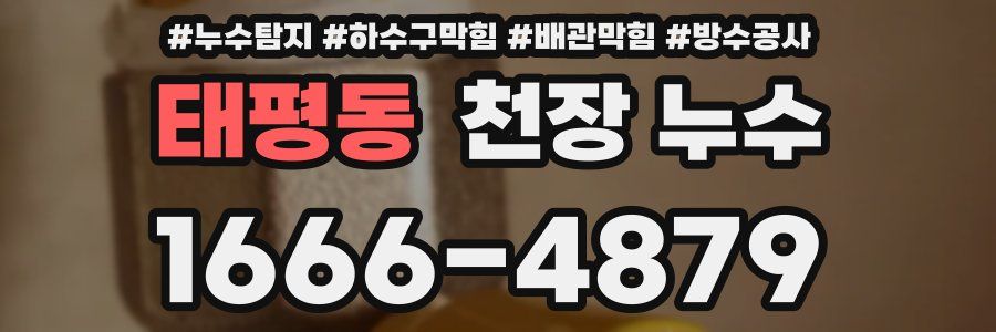 태평동 천장 누수