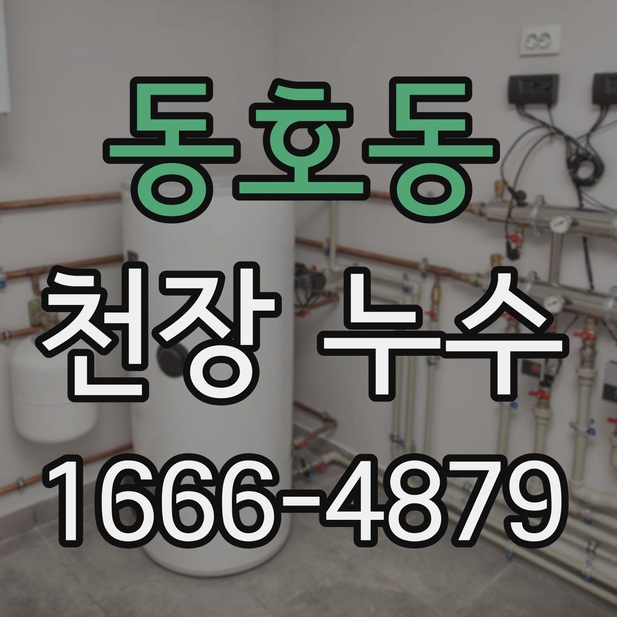 동호동 천장 누수