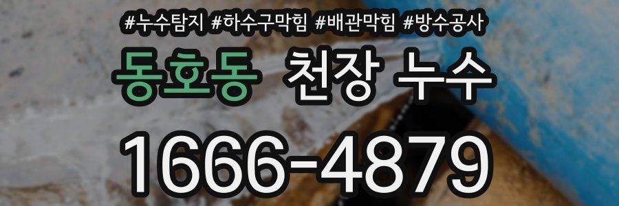 동호동 천장 누수
