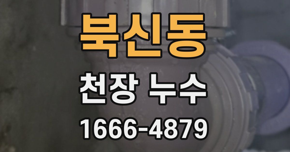 북신동 천장 누수