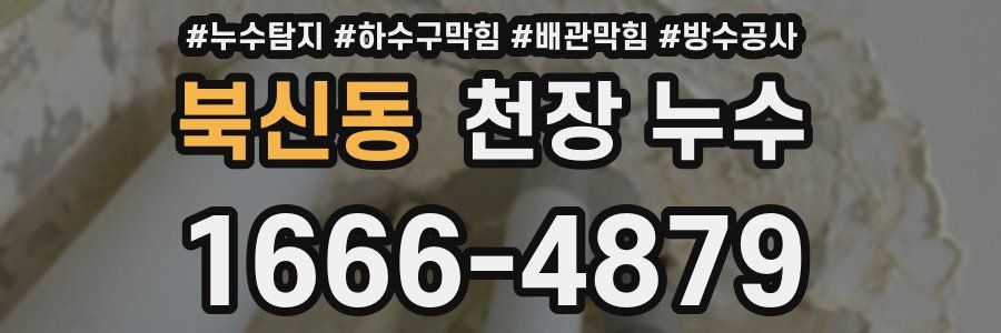 북신동 천장 누수