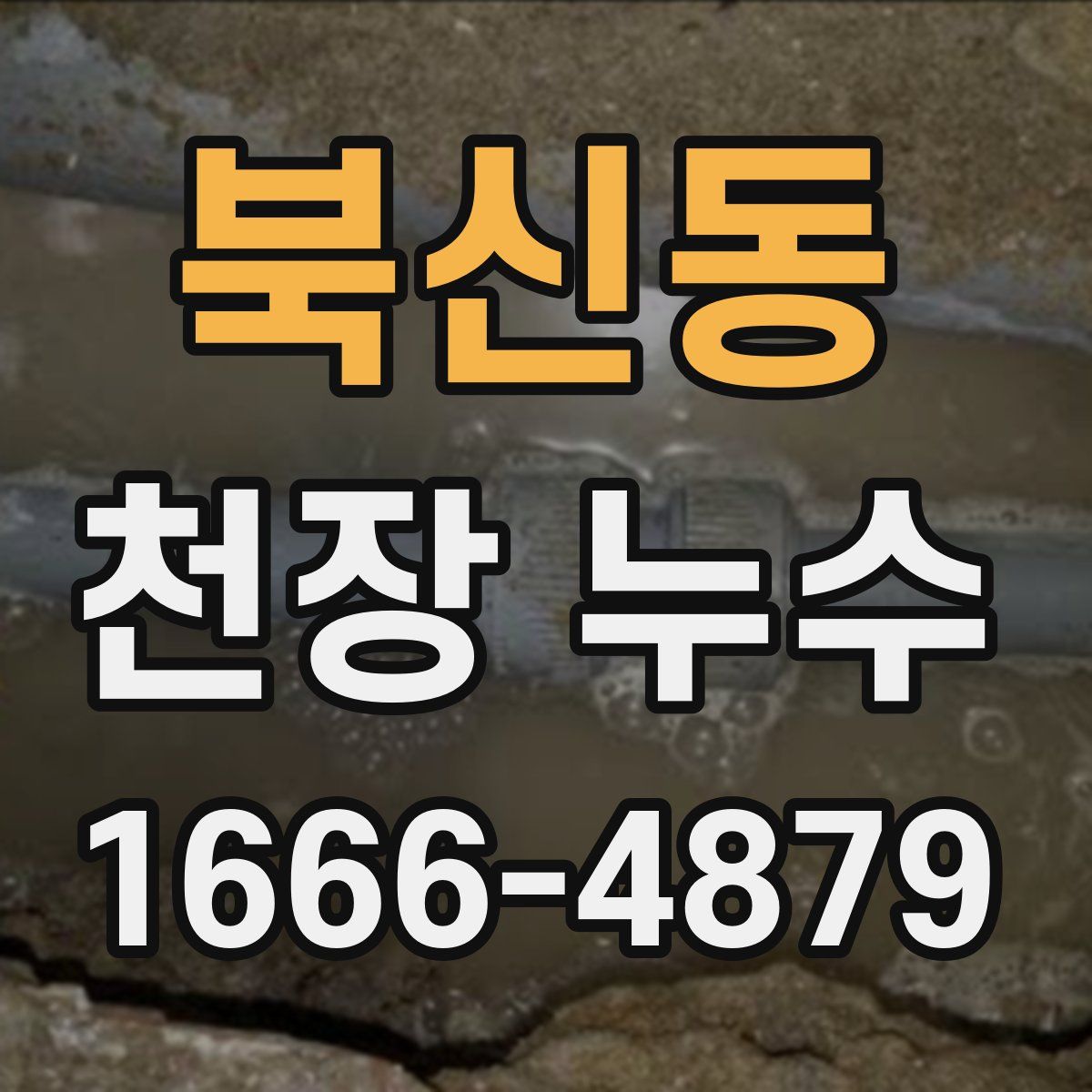 북신동 천장 누수