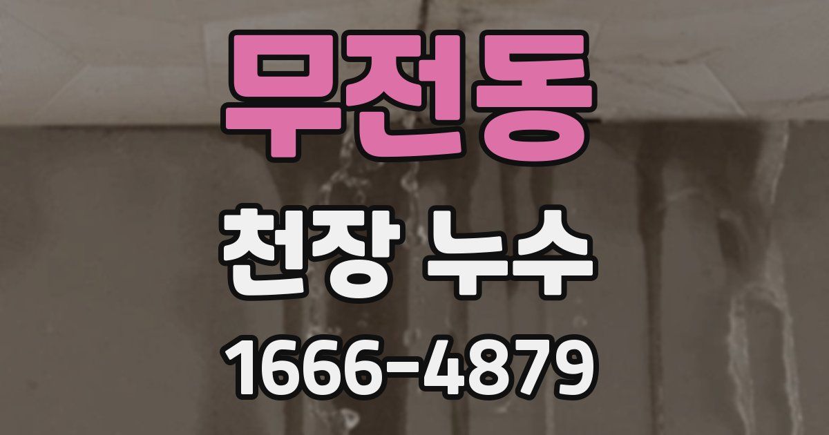 무전동 천장 누수