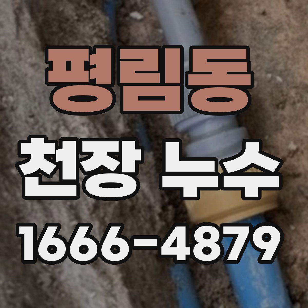 평림동 천장 누수